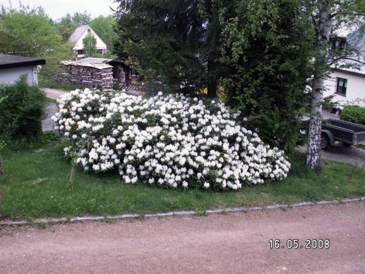 Ferienhaus Ferien Am Waldrand Altenberg Eksteriør billede